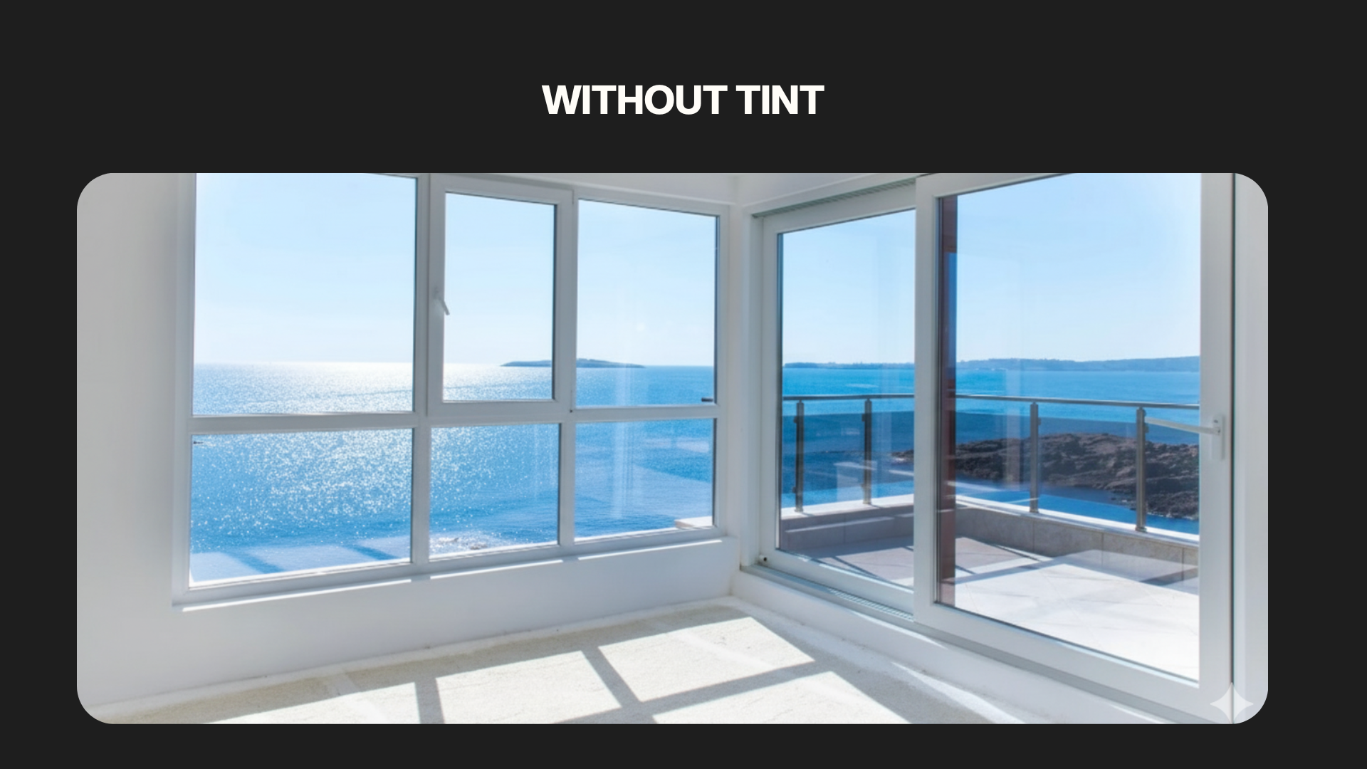 WITHOUT TINT